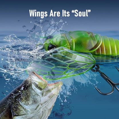 Kingdom 2026 New Cicada Topwater Lure With Wings 21mm 1.6g 27mm 2.4g - Hard Bait For Freshwater Bass or any PREDATOR species