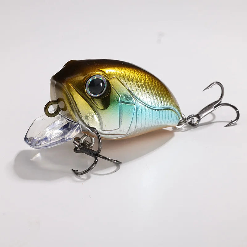 Crankbait, floating, small, fat Bionic lure
