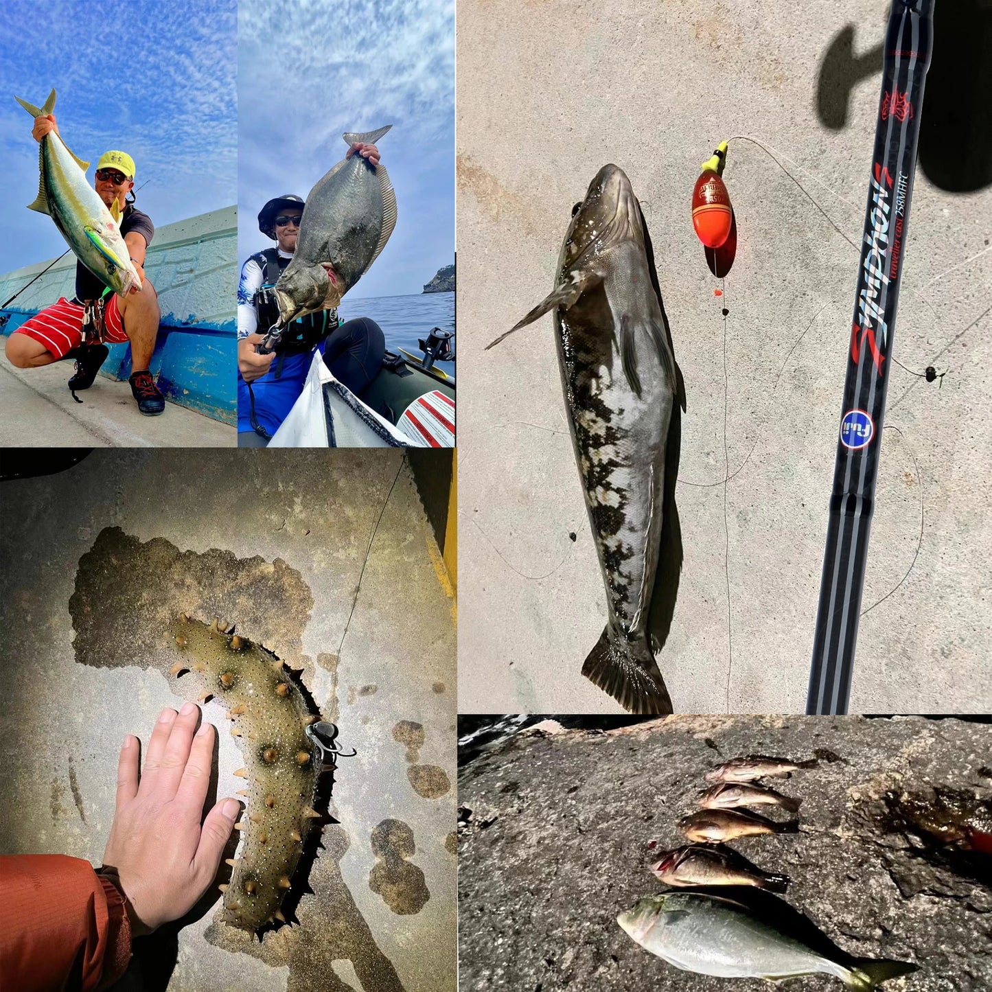 BIUTIFU Carbon Fishing Rod for Travelers - Fuji Lure  Casting Rod 1.8-3.0m 5-42g , Baitcasting