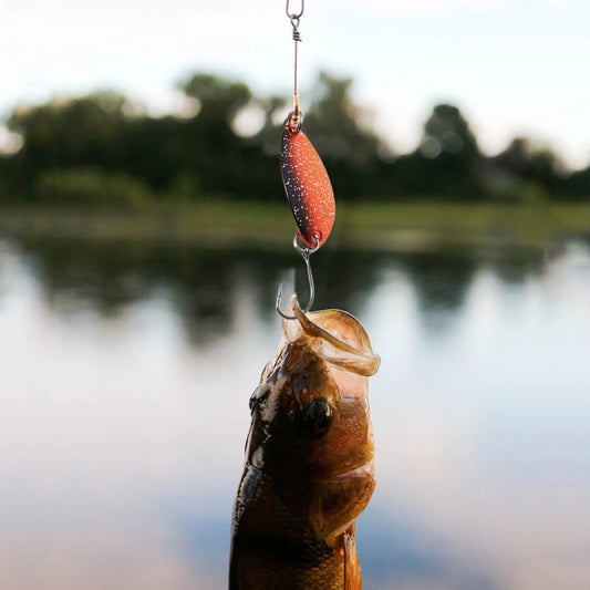 12Pcs Realistic Trout Bait with Single Hook- Artificial Trout Spoon