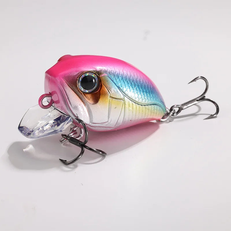 Crankbait, floating, small, fat Bionic lure