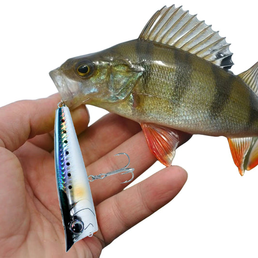 Popper Fishing Lure, Floating , 3D Eyes-  for Freshwater Saltwater Surface Fishing