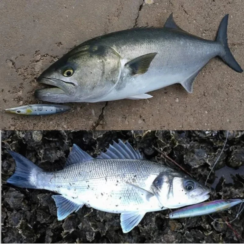 Teknik Floating Pencil Bait- 90/110/130mm Stickbait/ Asturies  Seabass, Bonito, Tuna, Dorado/Mahi, Tarpon, Snook, Snapper & other Pelagic and Inshore Predators