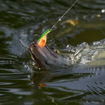 5pcs 10cm 8g Hard Bait, 3D Eyes, for Trout Bass Pike Walleye Fishing